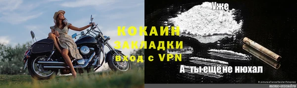 шишки Долгопрудный