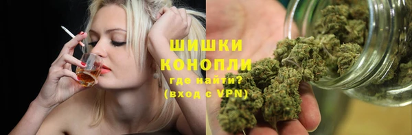 шишки Долгопрудный